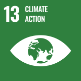 SDGs Icon