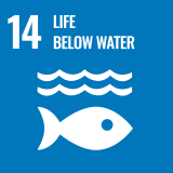 SDGs Icon