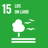 SDGs Icon